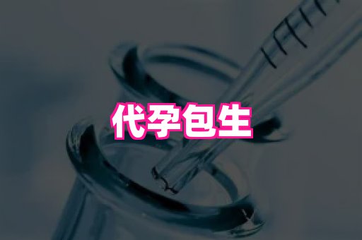 821孕网 3