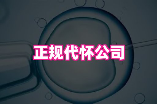 821孕网 4